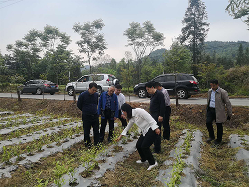 海利集团,长沙杀虫剂,长沙光气衍生物,长沙氨基酸?；ぜ?长沙锂离子电池材料