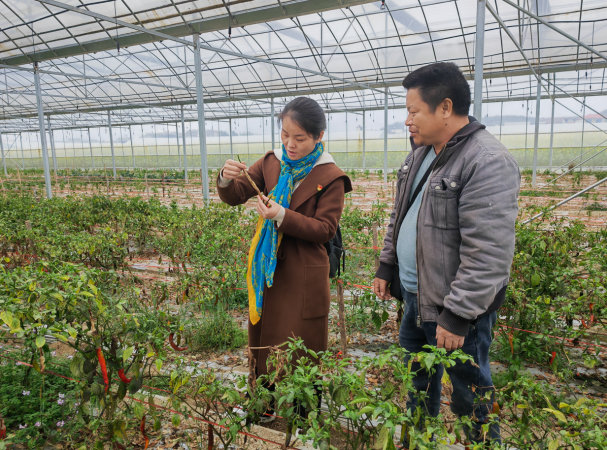 海利集团,长沙杀虫剂,长沙光气衍生物,长沙氨基酸?；ぜ?长沙锂离子电池材料